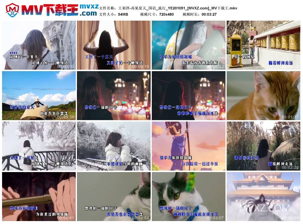 王羽泽-再见夏天_国语_流行_YE201051